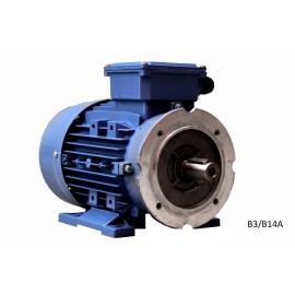 MS 100 L-2  3  kW  230/400V 3000 rpm elektromotor