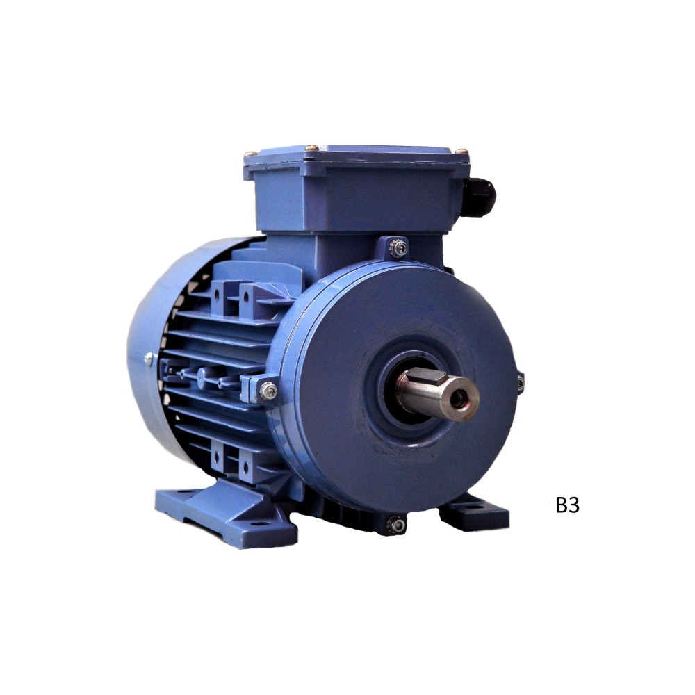 MS 100 L-2  3 kW  400/690V  3000 rpm elektromotor