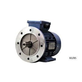 MS 100 L-2  3  kW  230/400V 3000 rpm elektromotor